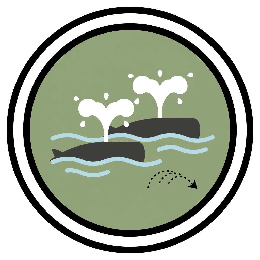 Gray Whales Pass microseason image