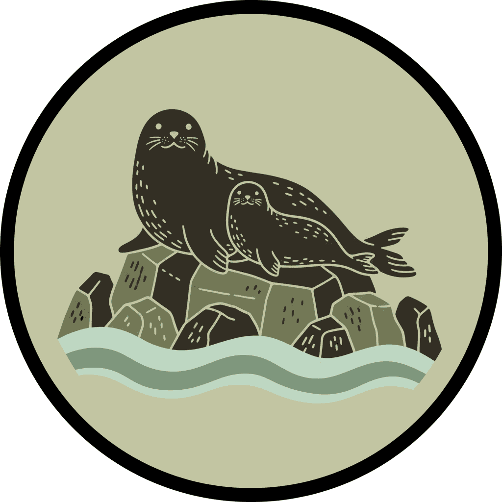 Seal Pups Appear microseason image