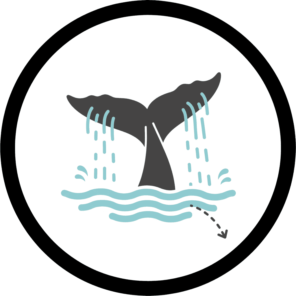 Eagles Gather microseason image